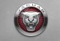 Preview: Jaguar Art Design rundes spezial Glasbild!