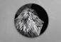 Preview: Lion Art Design round special Glass Picture!