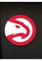 Preview: Atlanta Hawks Logo Led Leuchtschild Wandleuchte! (rund)