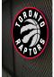 Preview: Toronto Raptors Logo Led Leuchtschild Wandleuchte! (rund)