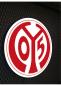 Preview: FSV Mainz Logo Led Leuchtschild Wandleuchte! (rund)