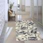 Preview: American Dollars rectangular carpet!