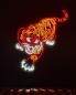 Preview: Neon Led Angry Tiger wall lamp for your home, office or shop! - Kopie