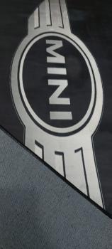 Mini logo rectangular carpet!