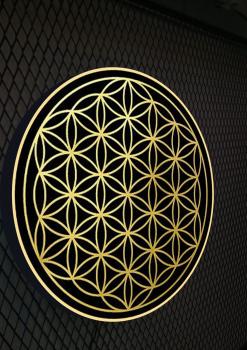 Lebensblume Logo Led Leuchtschild Wandleuchte! (rund)