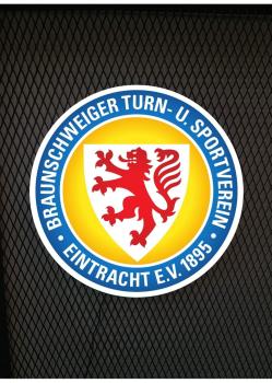 Eintracht Braunschweig Logo Led Leuchtschild Wandleuchte! (rund)