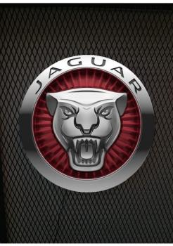 Jaguar Leuchtreklame rund