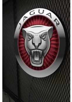 Jaguar Leuchtreklame rund