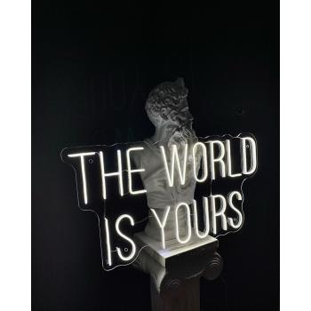 Neon Led The World is yours​ wall lamp for your home, office or shop!