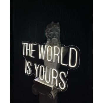 Neon Led The World is yours​ wall lamp for your home, office or shop!
