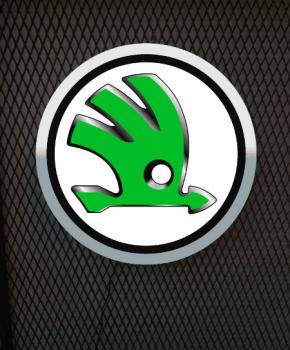 Skoda Logo Led Lichtwerbung rund