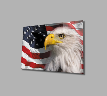 American flag  Art Design rectangular special Glass Picture!