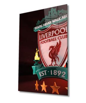 Liverpool FC Art Design rectangular special Glass Picture!