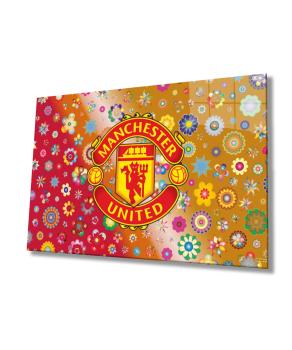Manchester United FC Art Design rectangular special Glass Picture!